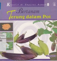 Bertanam Terong Dalam Pot